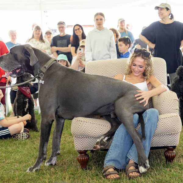 Great Country Mutt Show returns as animal shelter surrenders rise