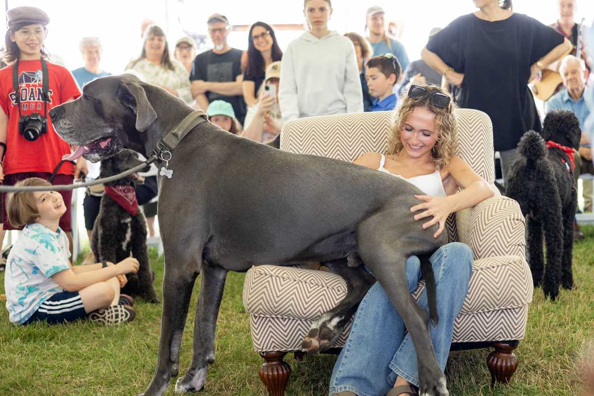 Purely unique: Underdogs take center stage at Little Guild’s Great Country Mutt Show