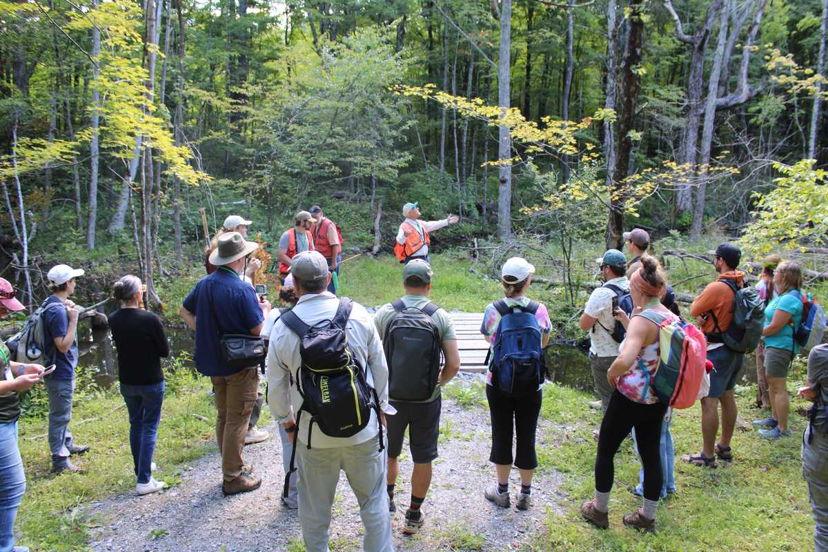 Great Mountain Forest: Teachers head to the woods for retreat