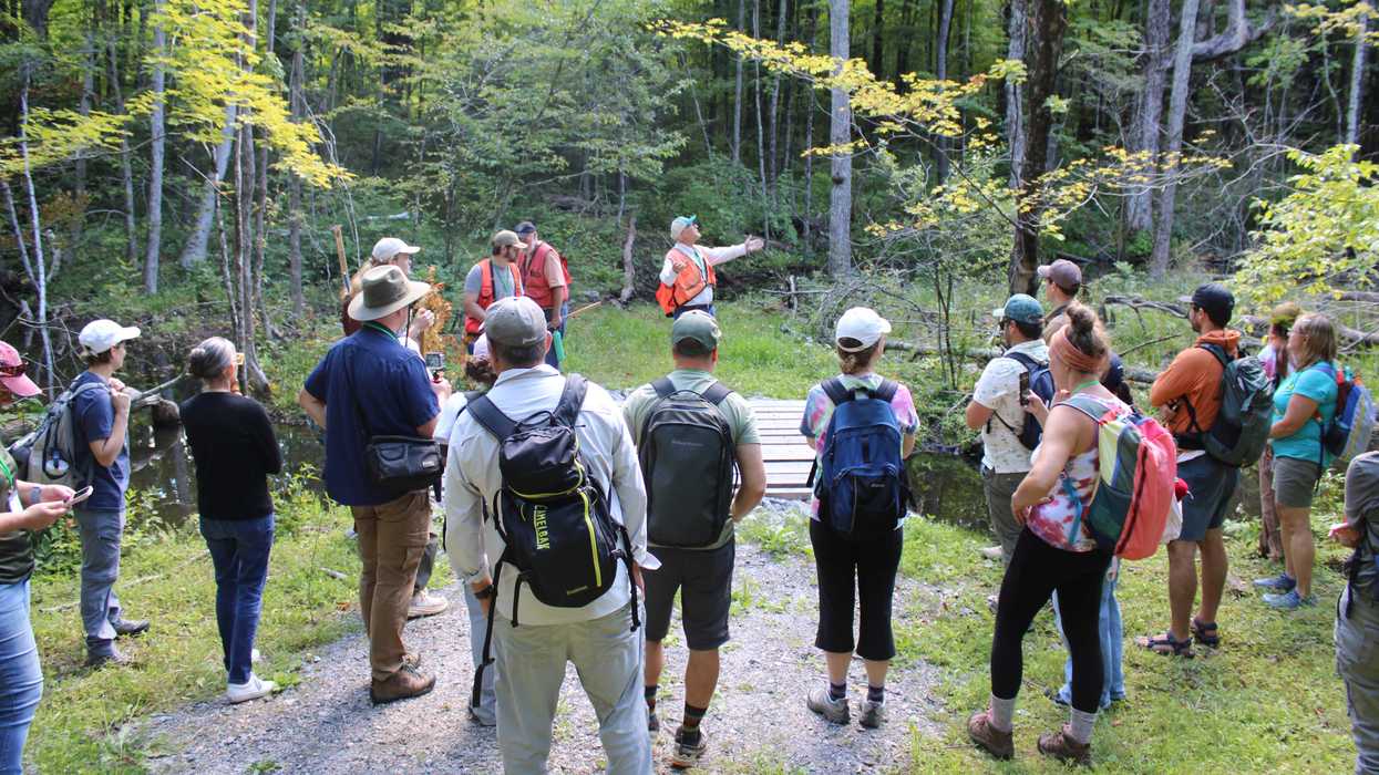 Great Mountain Forest: Teachers head to the woods for retreat