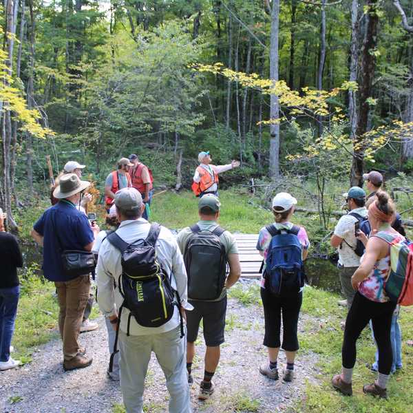 Great Mountain Forest: Teachers head to the woods for retreat