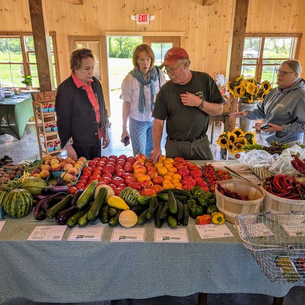 Ridgway Farm Store sprouts from deep roots
