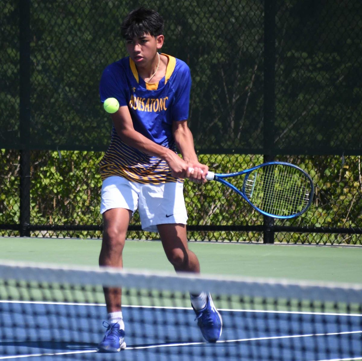 Berkshire League boys tennis takes shape, sets championships for May 26