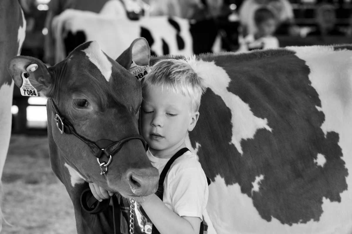 Farmers air struggles at Dutchess County Fair’s annual Ag Forum