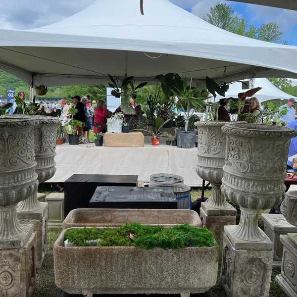 Trade Secrets: a glamorous garden event with a deeper mission