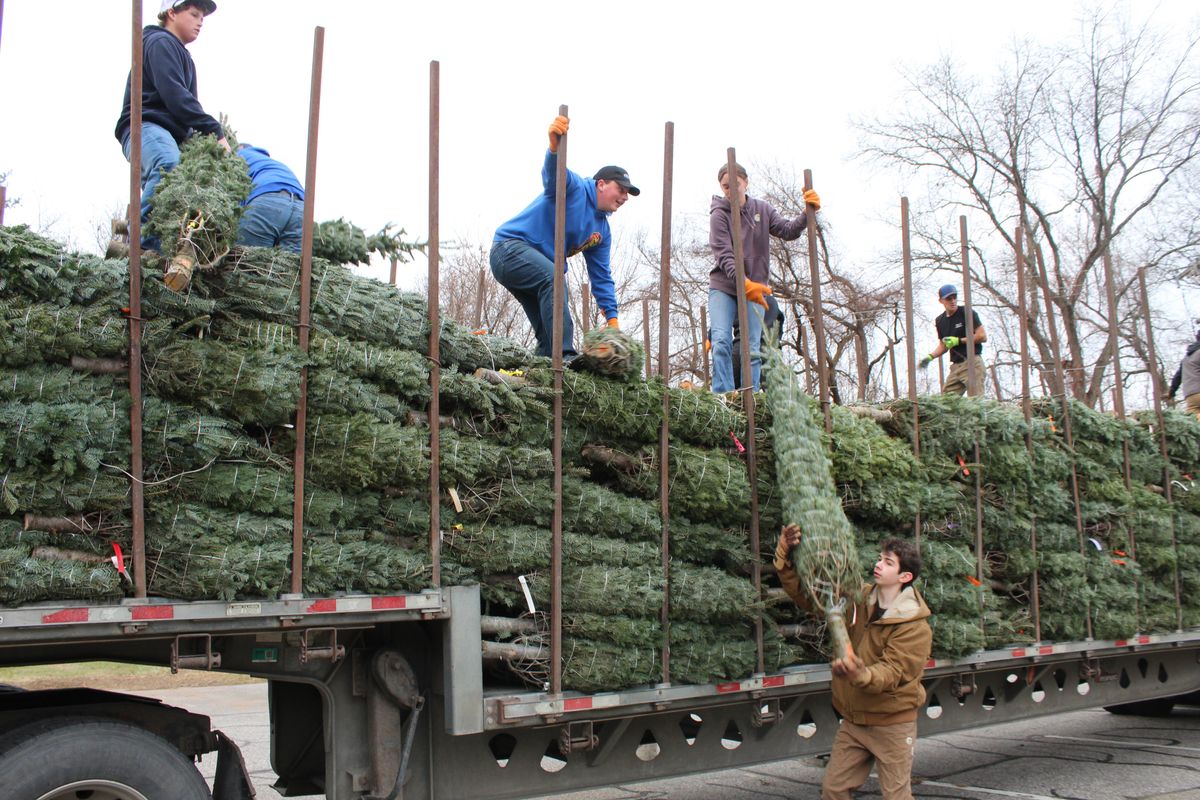 Holiday cheer spruces up with arrival of trees at Housatonic FFA