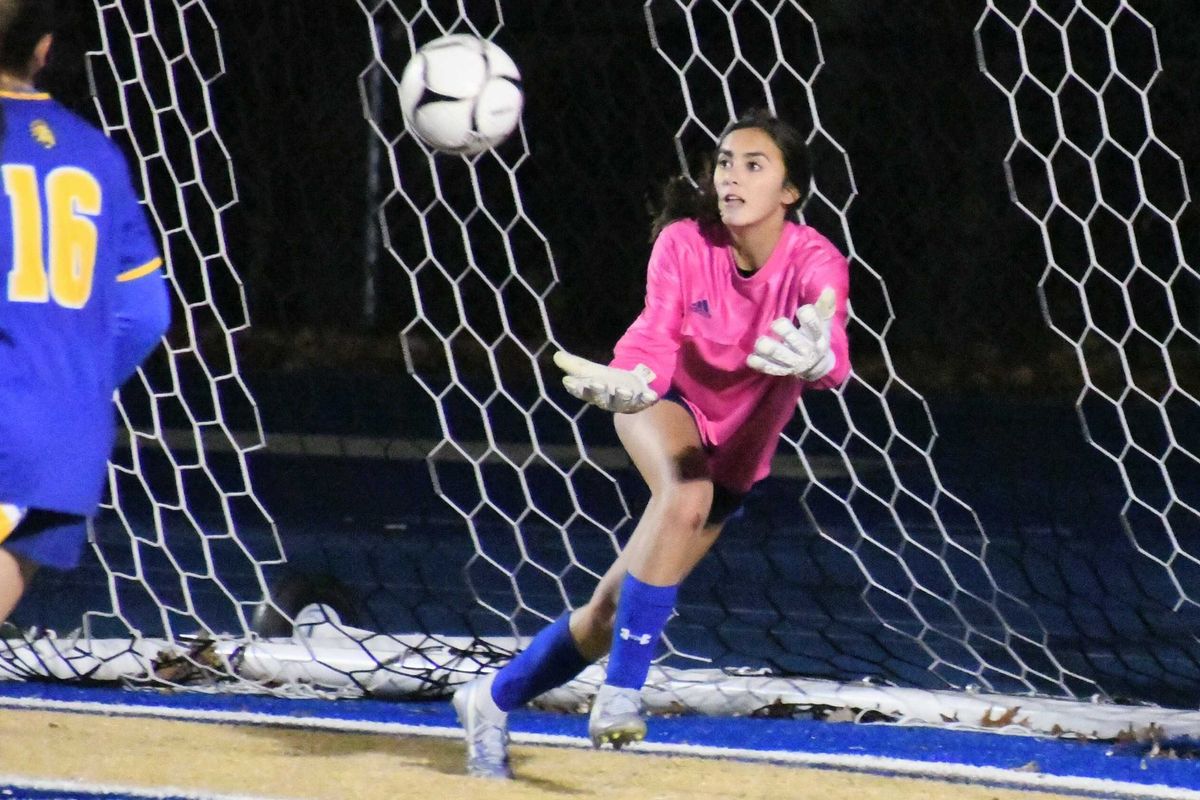 Final four finish for Mountaineers