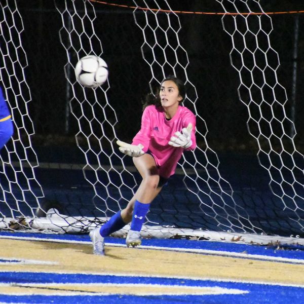 Final four finish for Mountaineers