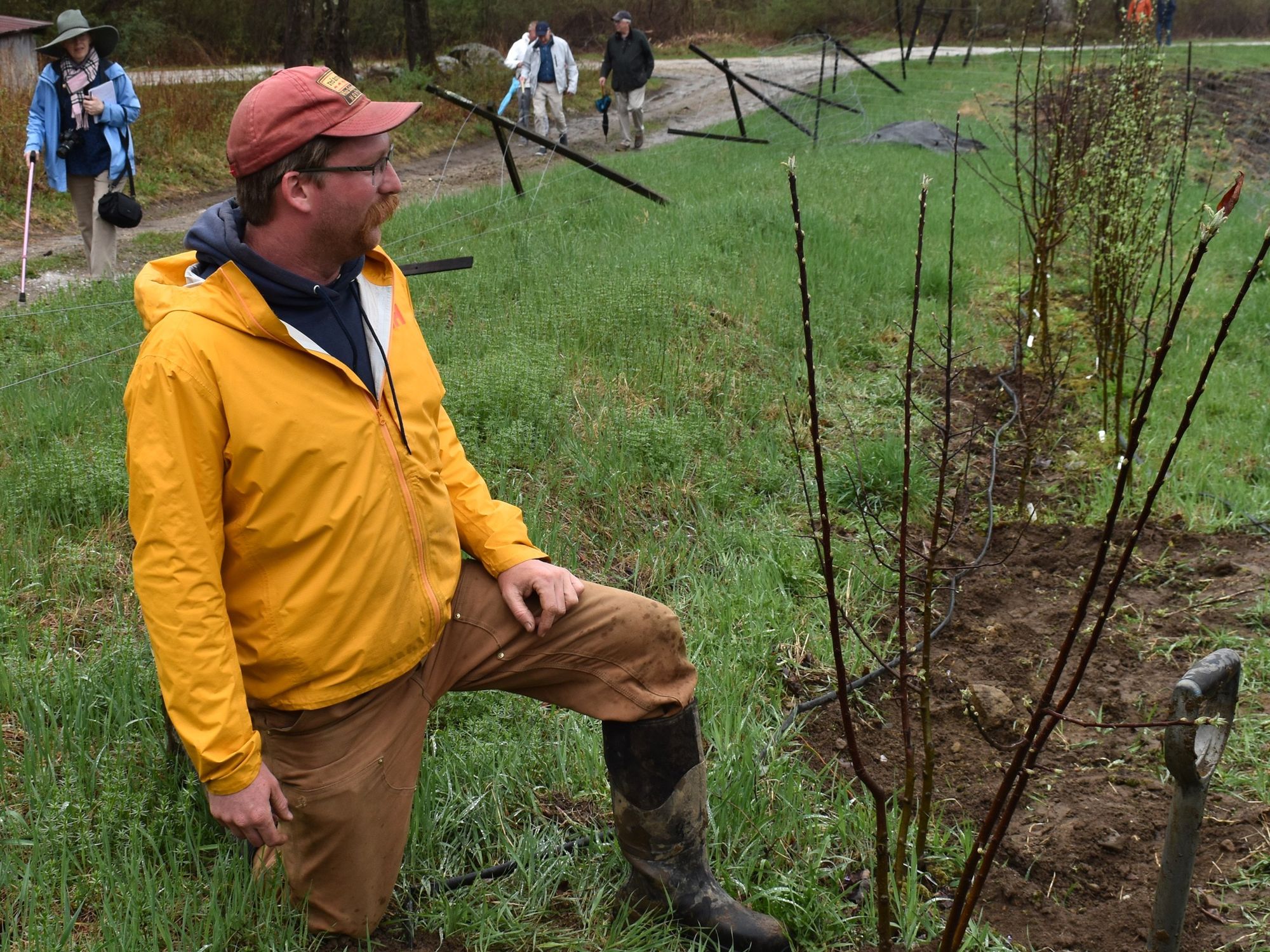 All about apples at Ridgway Farm