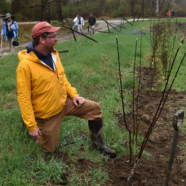 All about apples at Ridgway Farm