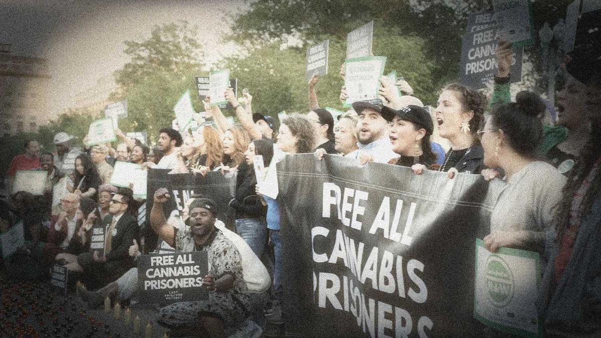 'Bar None: Cannabis Redemption'