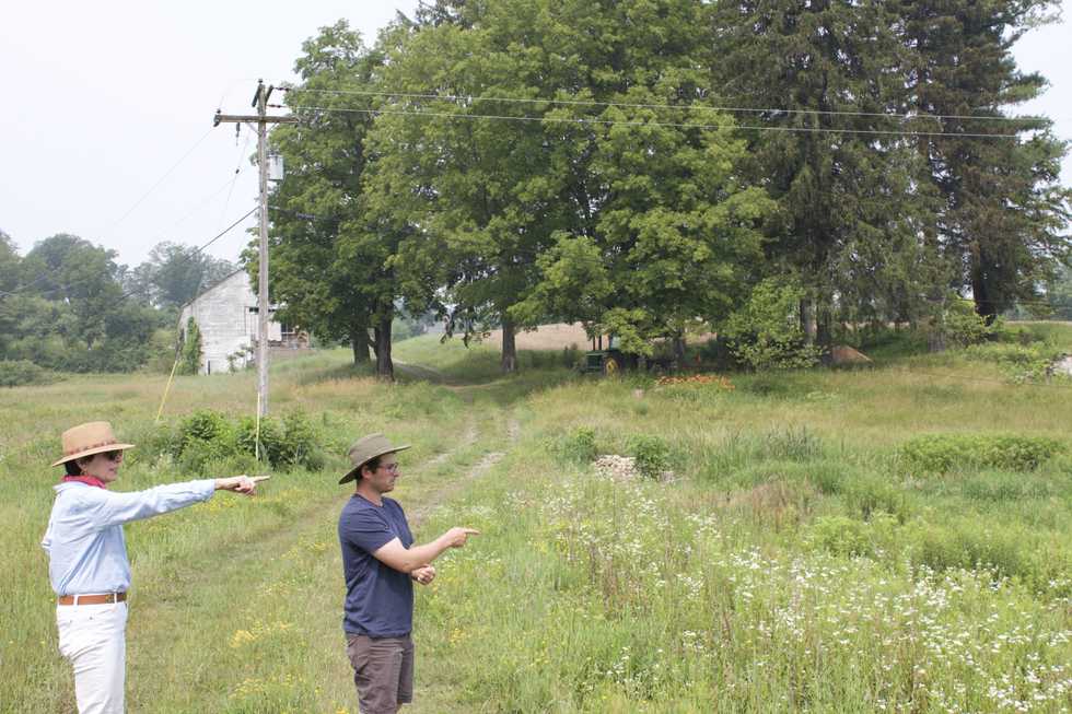 Homegrown National Park: Making a difference by planting native species