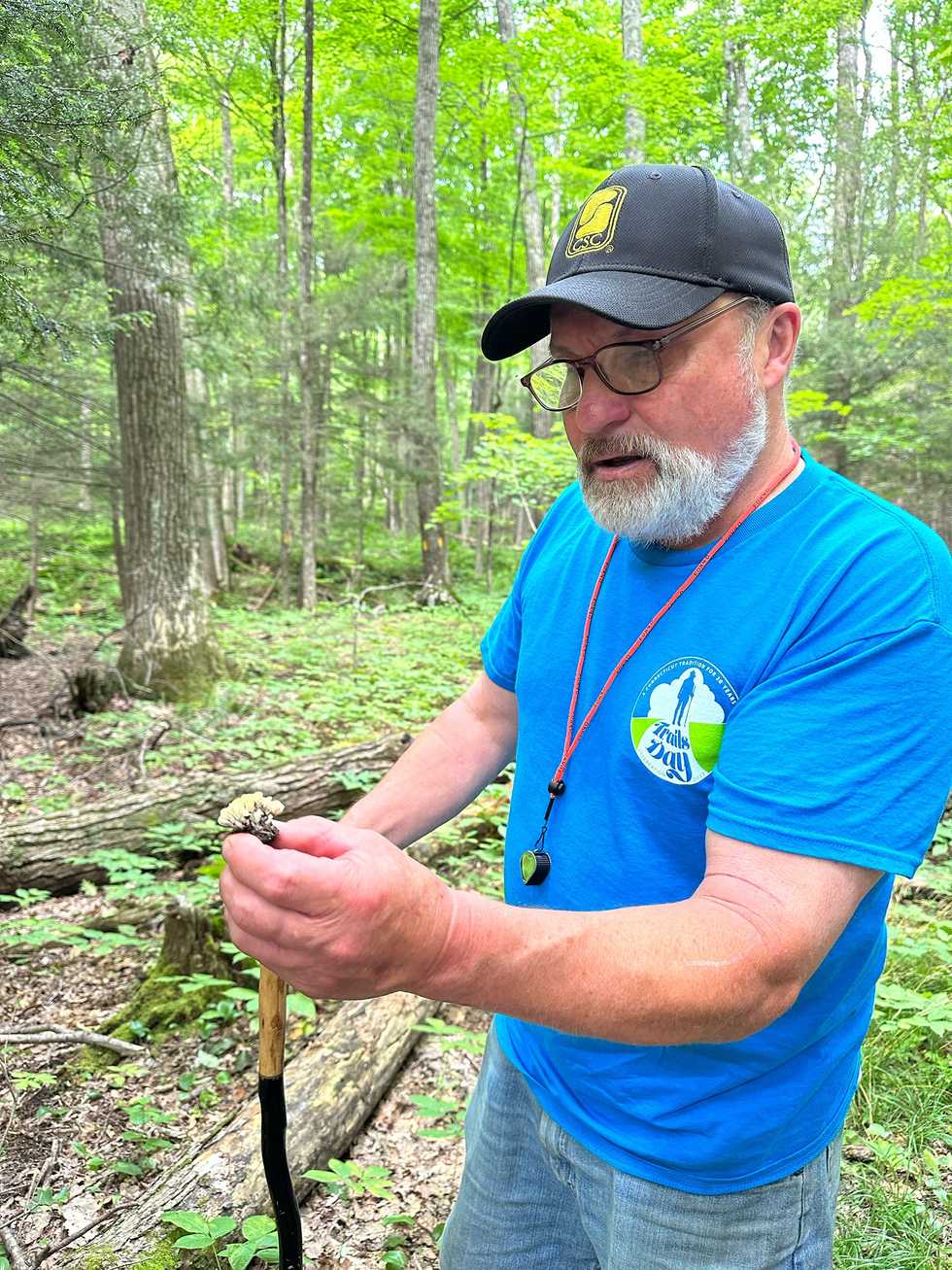 A trip into diverse world of fungi
