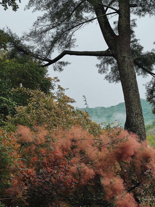 The Private Gardens of Litchfield County