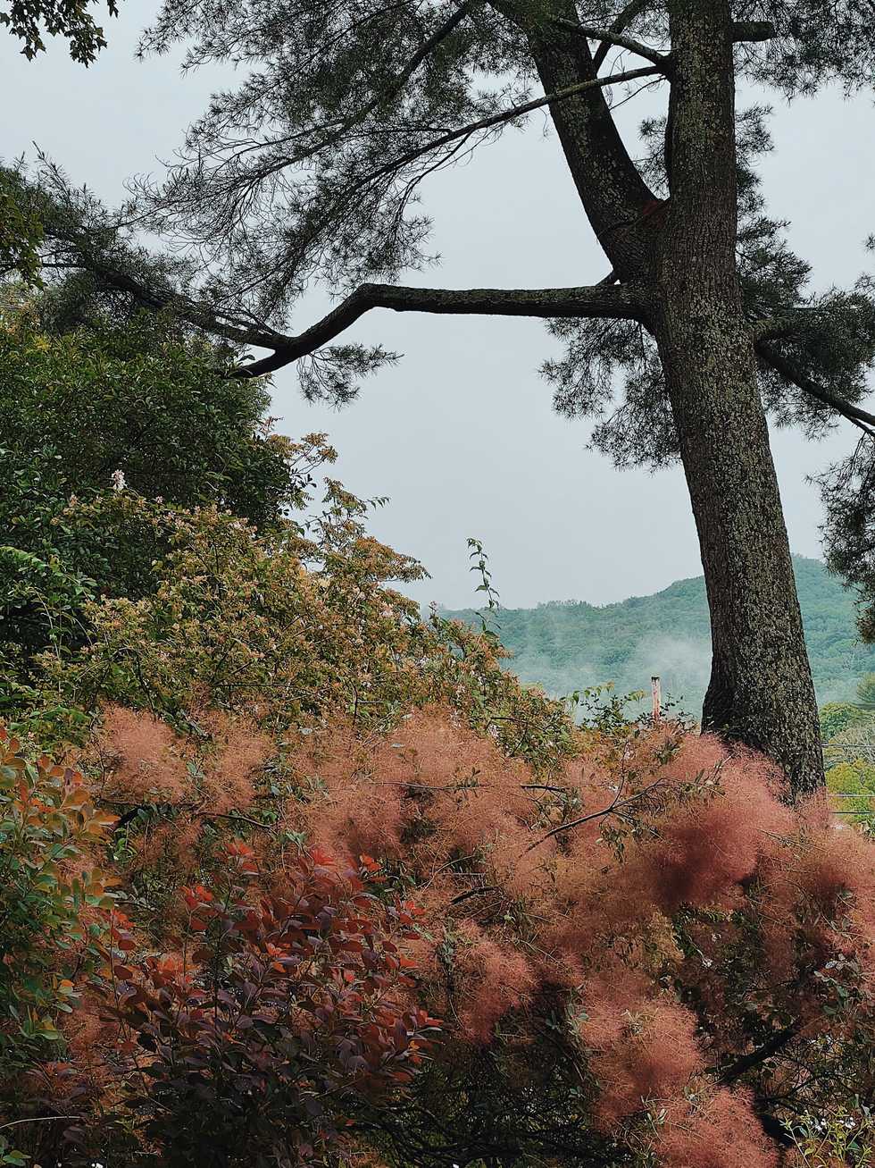 The Private Gardens of Litchfield County