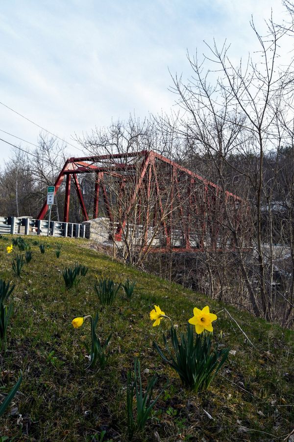 A Town Ready to Bloom