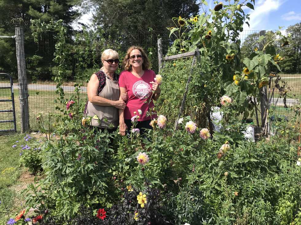 A Garden for the Town