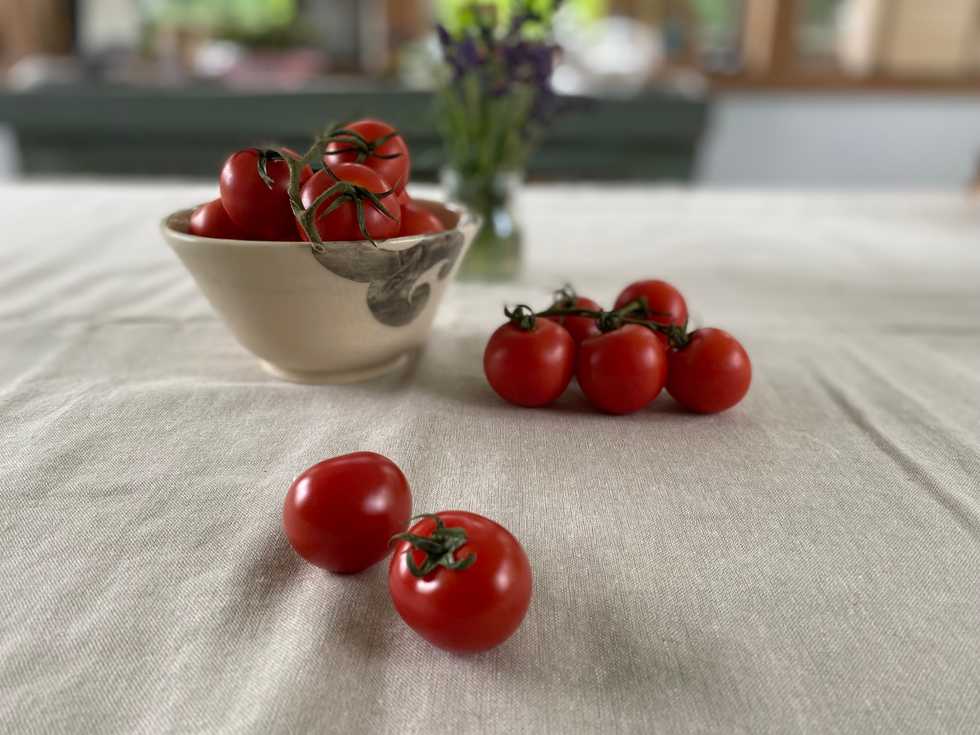 Because You Can’t Tell it too Many Times: The Tale of the Tomato Pie War