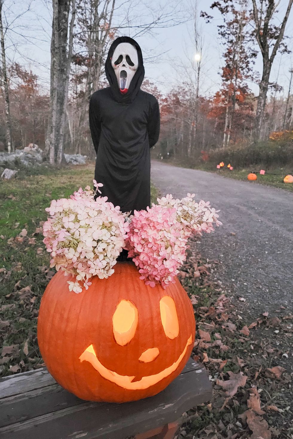 Jack-O-Lanterns by moonlight