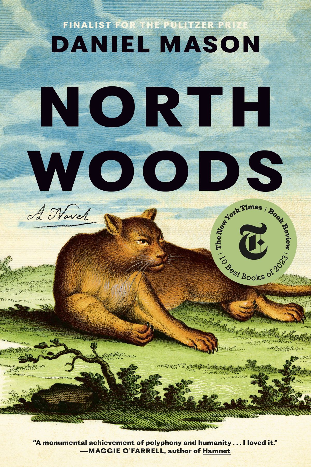 ‘North Woods’ takes readers to the wilderness