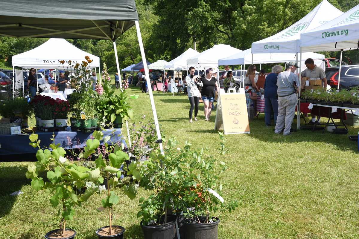 Farmer’s Market opens in Kent