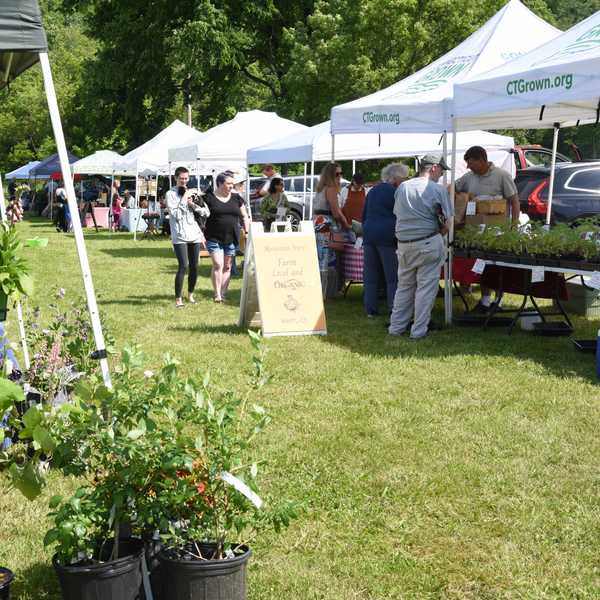 Farmer’s Market opens in Kent