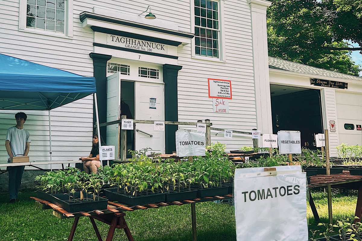 Plant sale benefits community