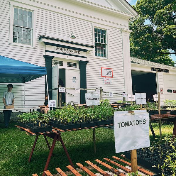 Plant sale benefits community