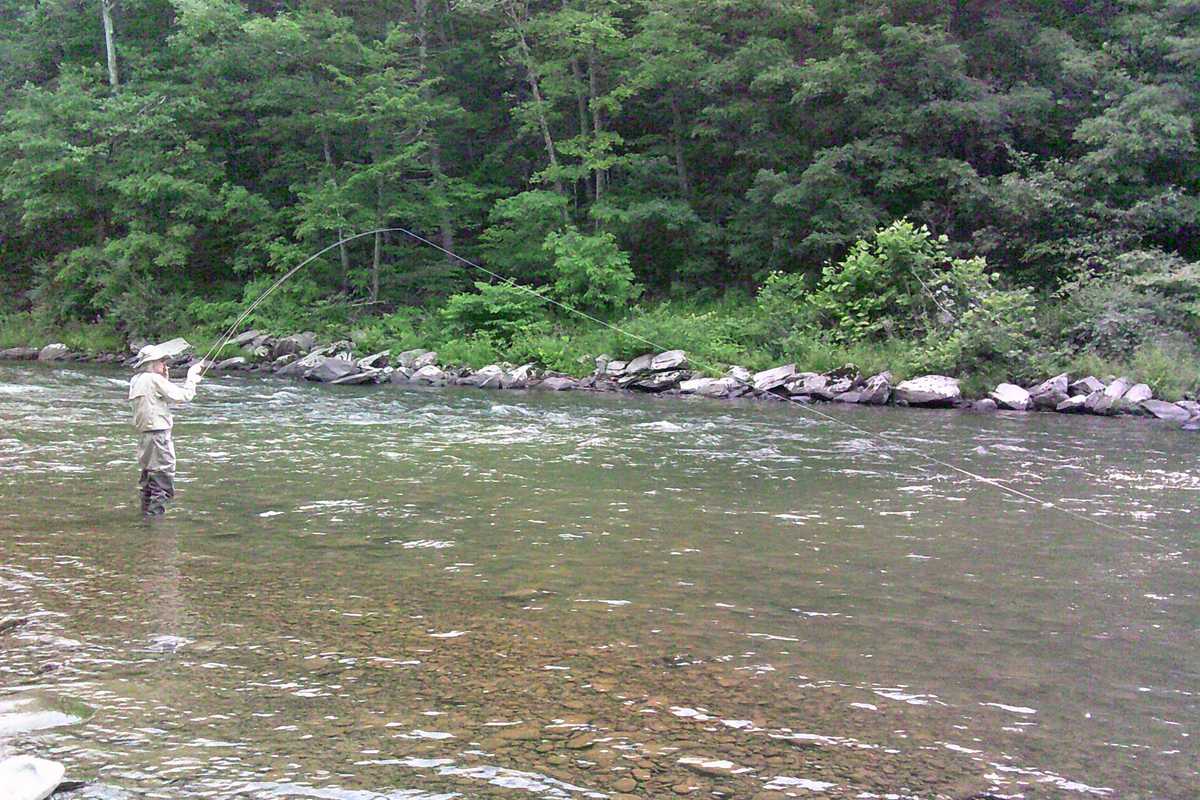 Tangled Lines: Behind the scenes