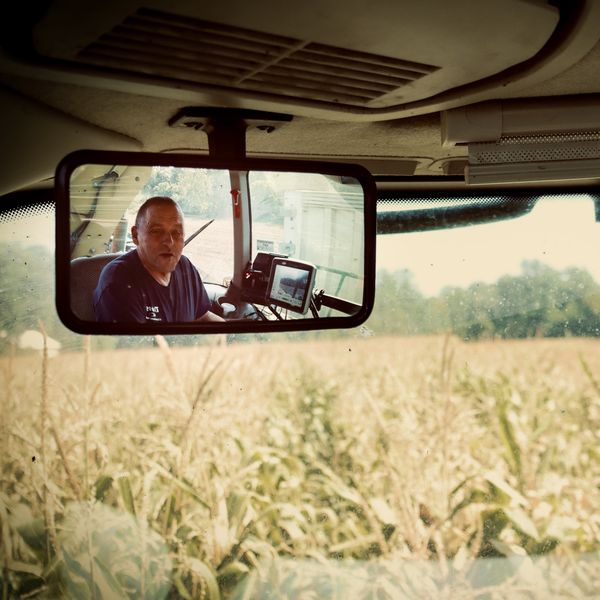 Harvest season