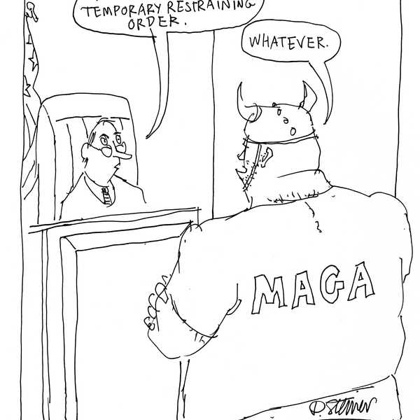 The Law