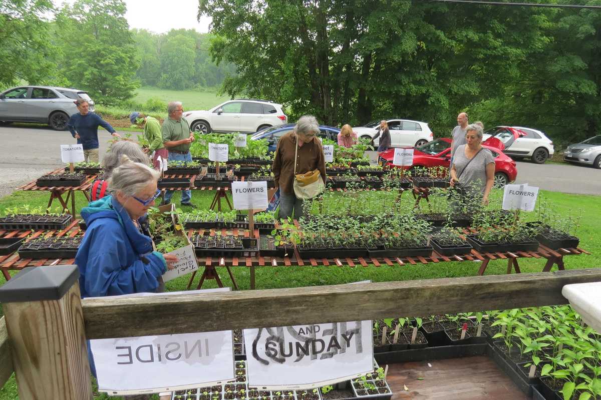 Greens by the Grange