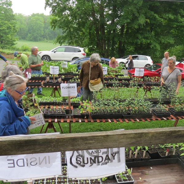 Greens by the Grange