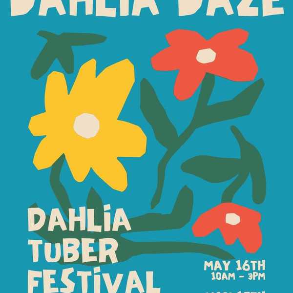 Dahlia Daze