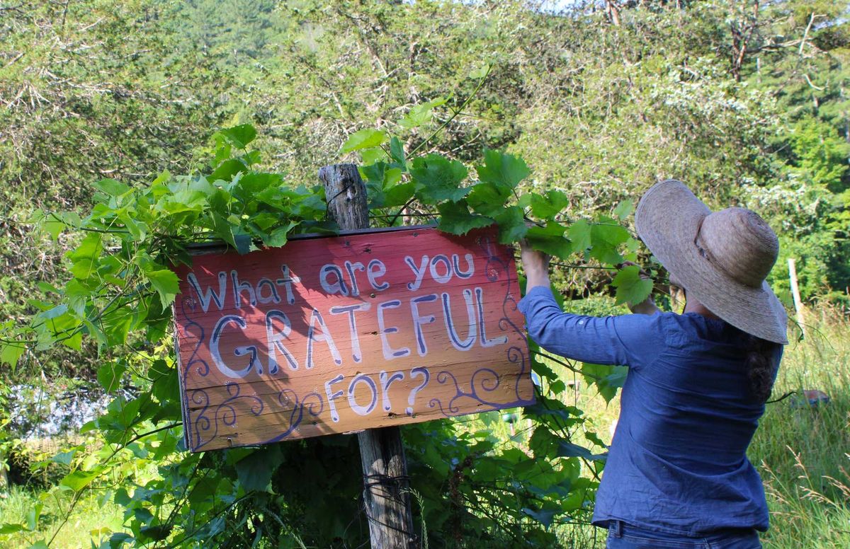 Rooted in reciprocity: Adamah Farm grows food, community and connection