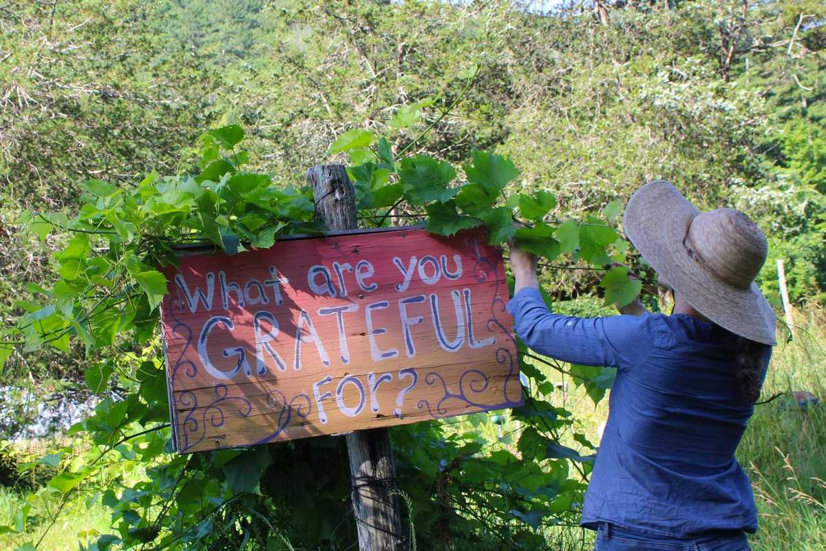 Rooted in reciprocity: Adamah Farm grows food, community and connection