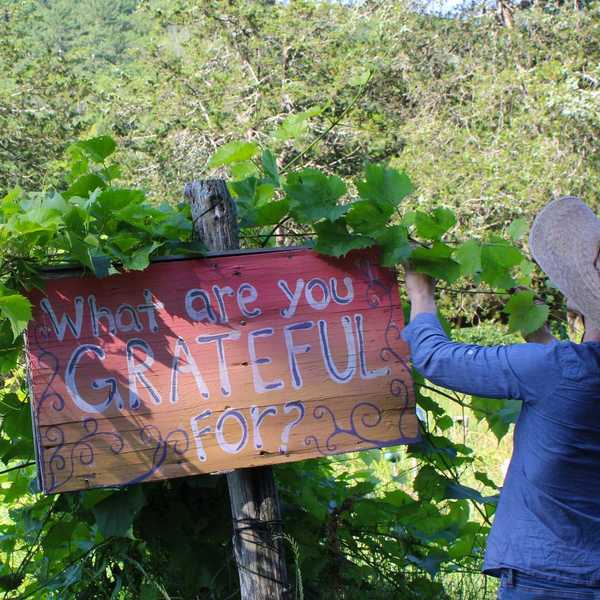 Rooted in reciprocity: Adamah Farm grows food, community and connection