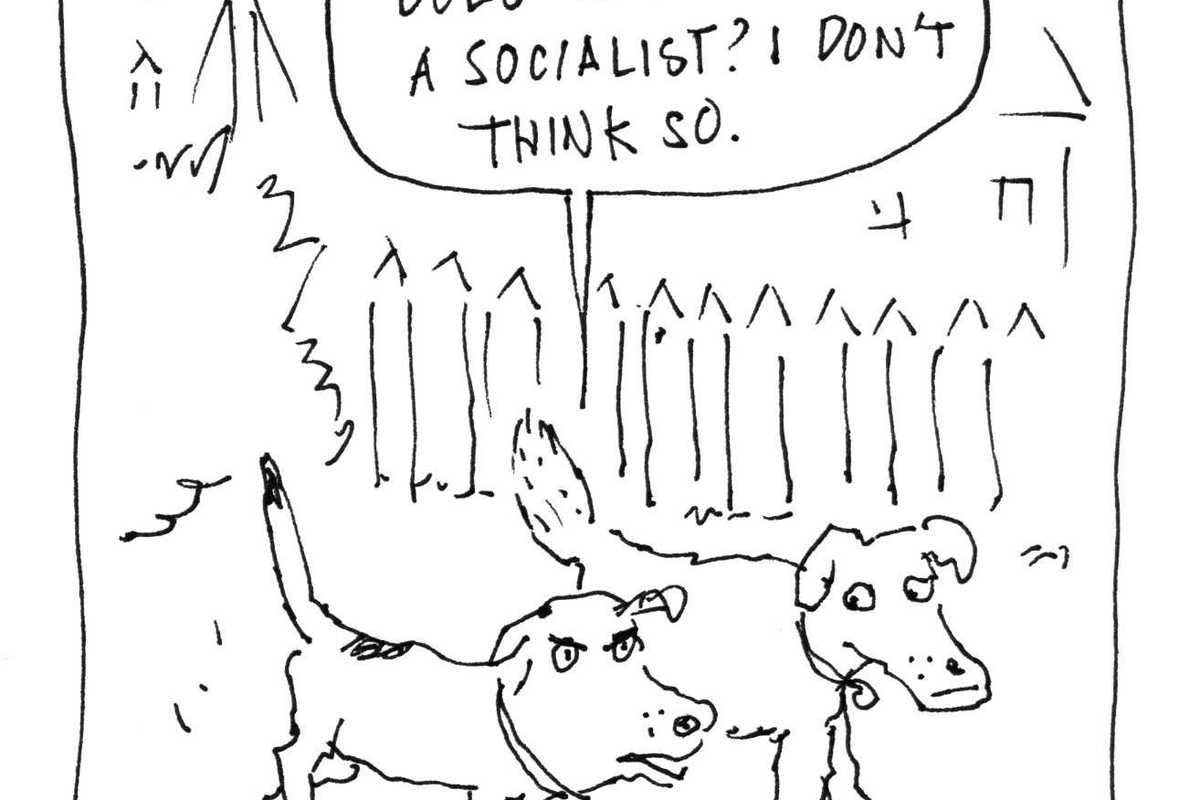 Socialists