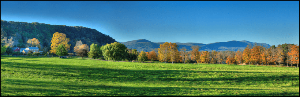 Conservation Easements