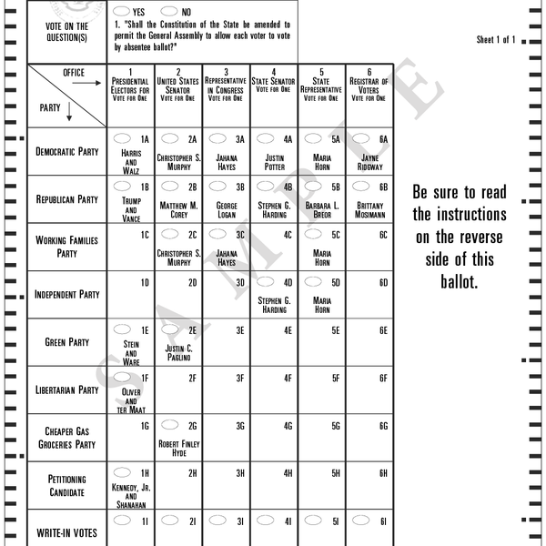 Sample ballot for 2024 election