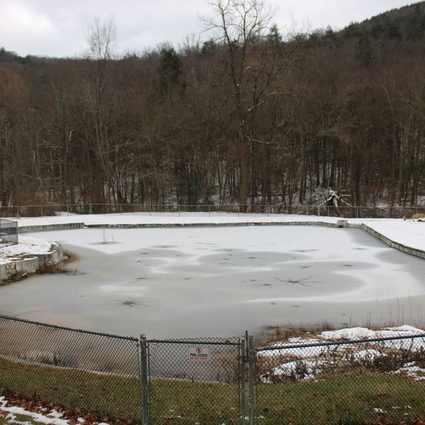 Kent moves closer to reopening Emery Park swimming pond