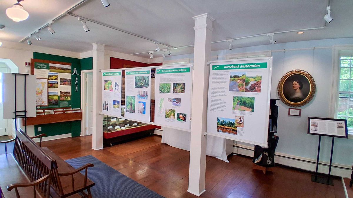 Salisbury Association opens environmental exhibit on rewilding