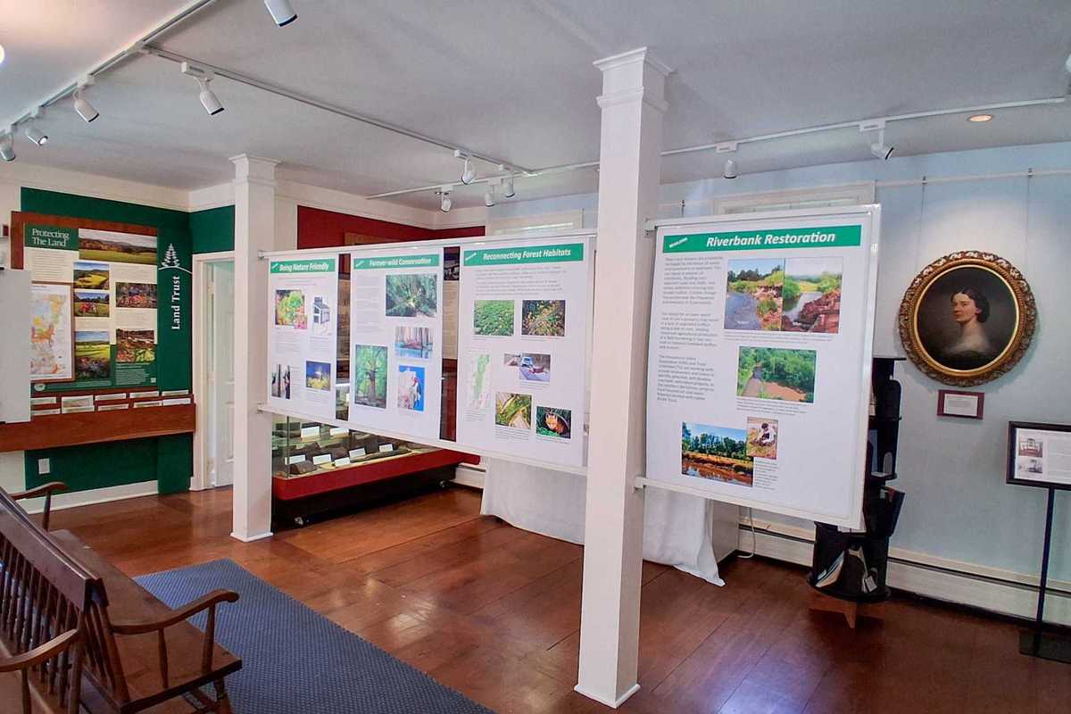 Salisbury Association opens environmental exhibit on rewilding