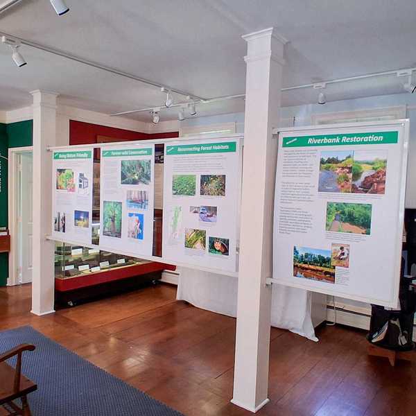 Salisbury Association opens environmental exhibit on rewilding