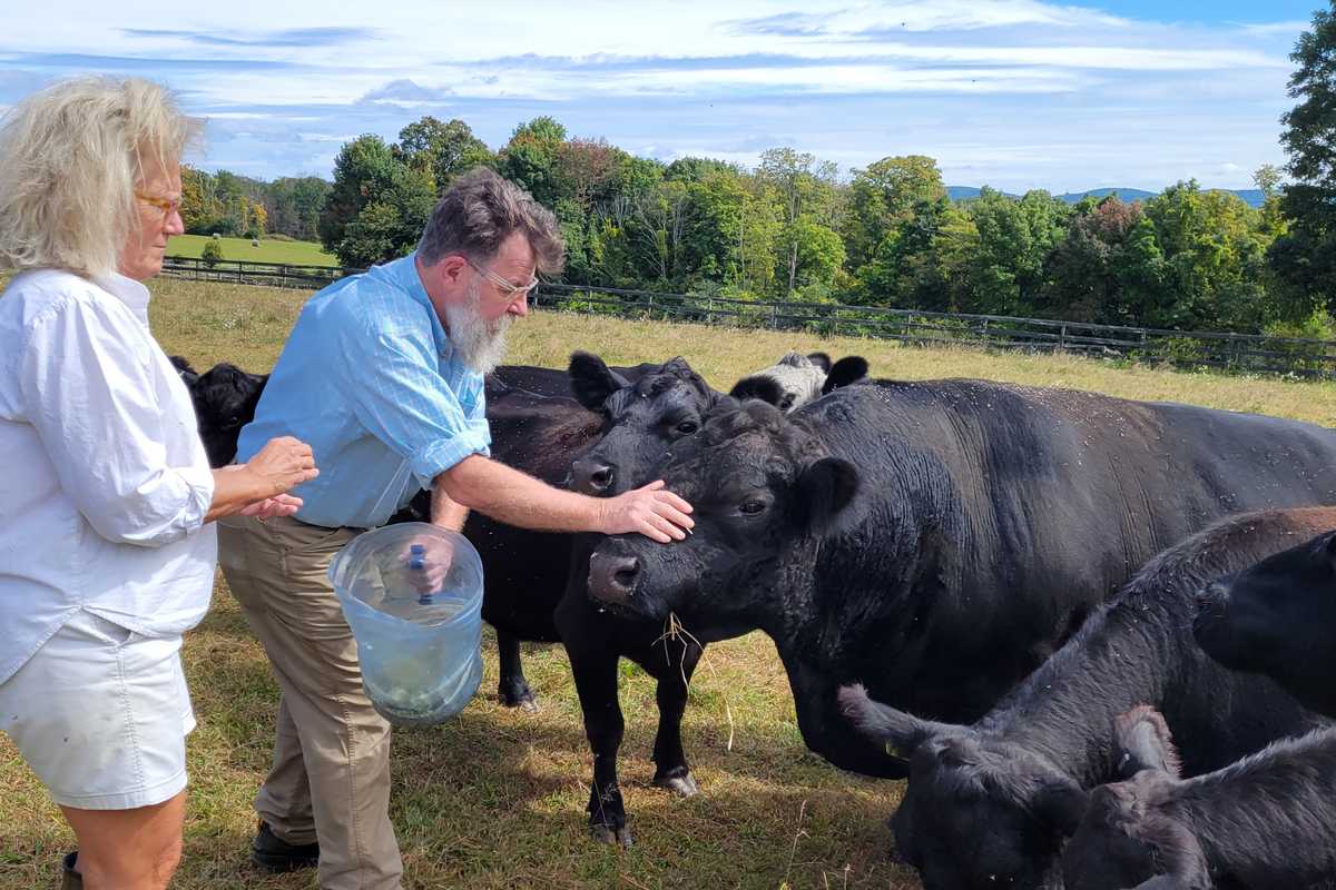 Land Conservancy disburses thousands in climate grants