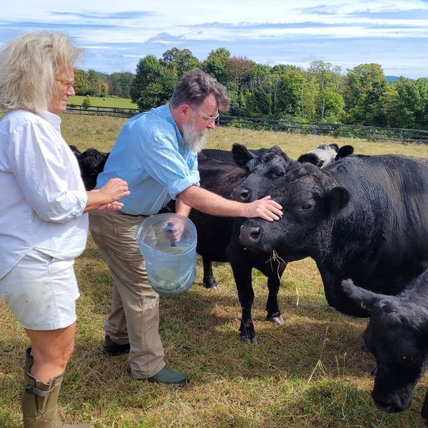 Land Conservancy disburses thousands in climate grants