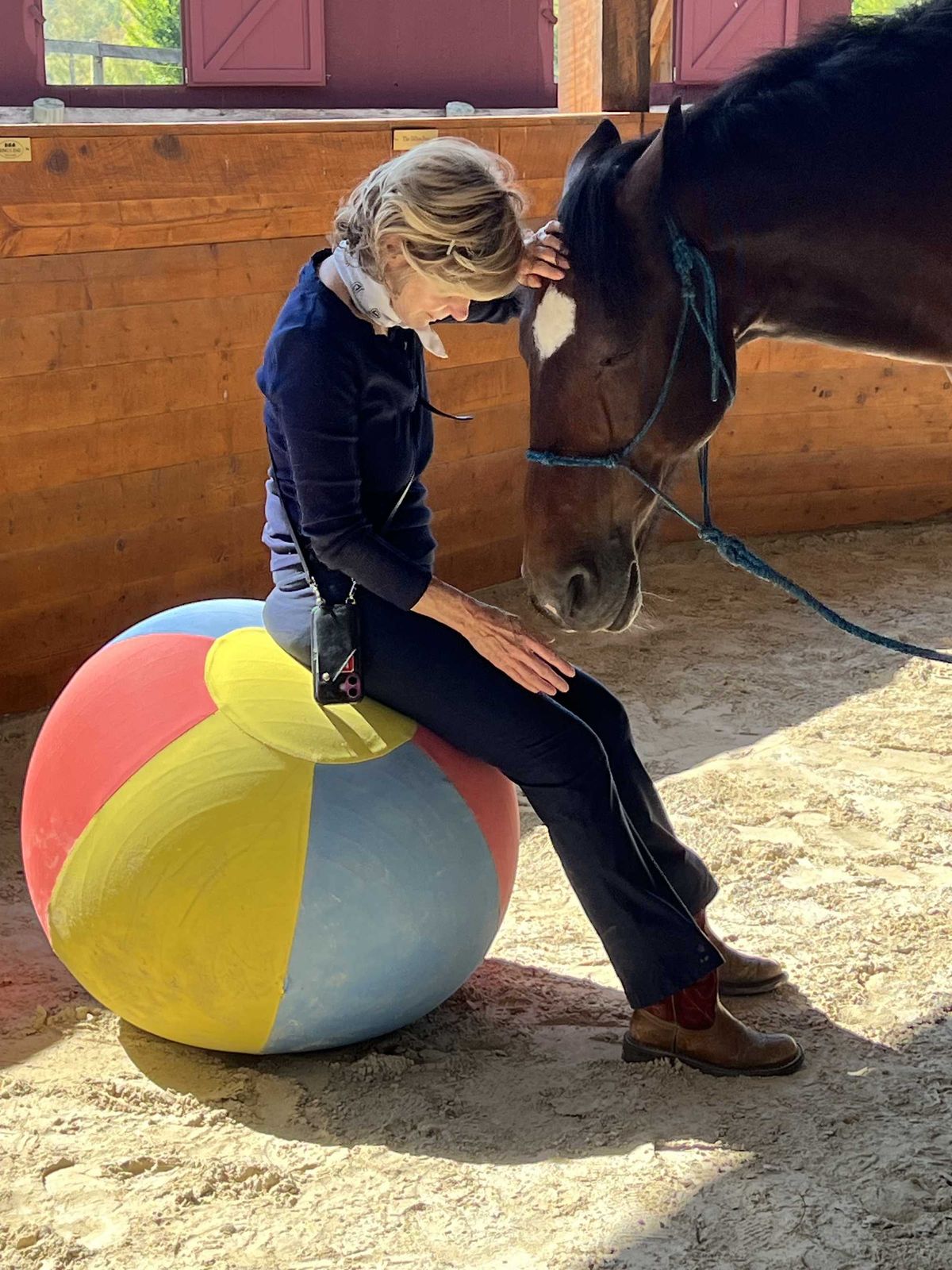 Meet the horses behind The Equus Effect at Sharon open house