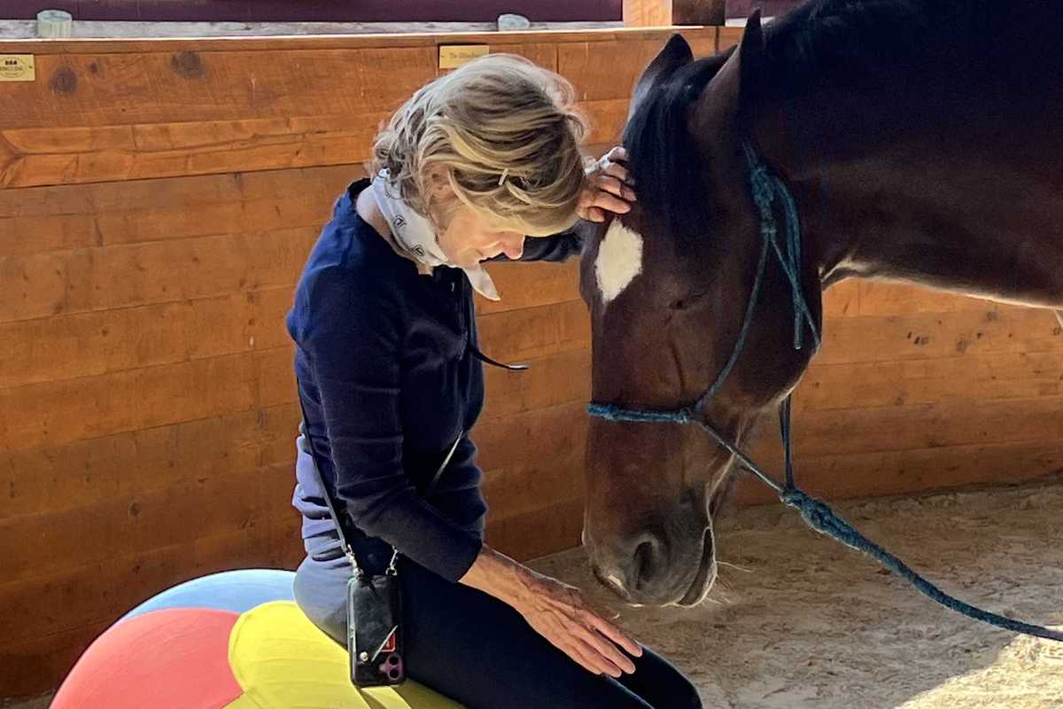 Meet the horses behind The Equus Effect at Sharon open house