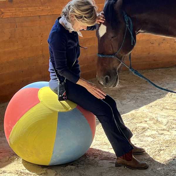 Meet the horses behind The Equus Effect at Sharon open house