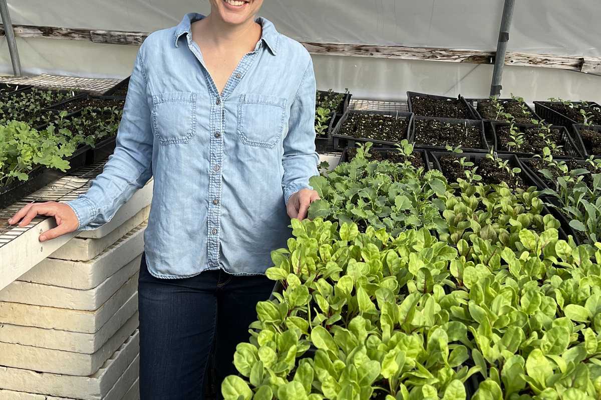 Northwest Corner farmers aided by climate-smart grants